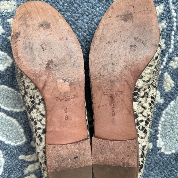 Coach snakeskin loafers. Beautiful condition. Bottoms worn a little. - Picture 4 of 5